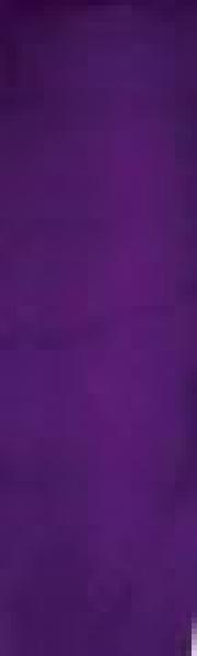 Streifenfarbe Wasserbasis Pearl Purple